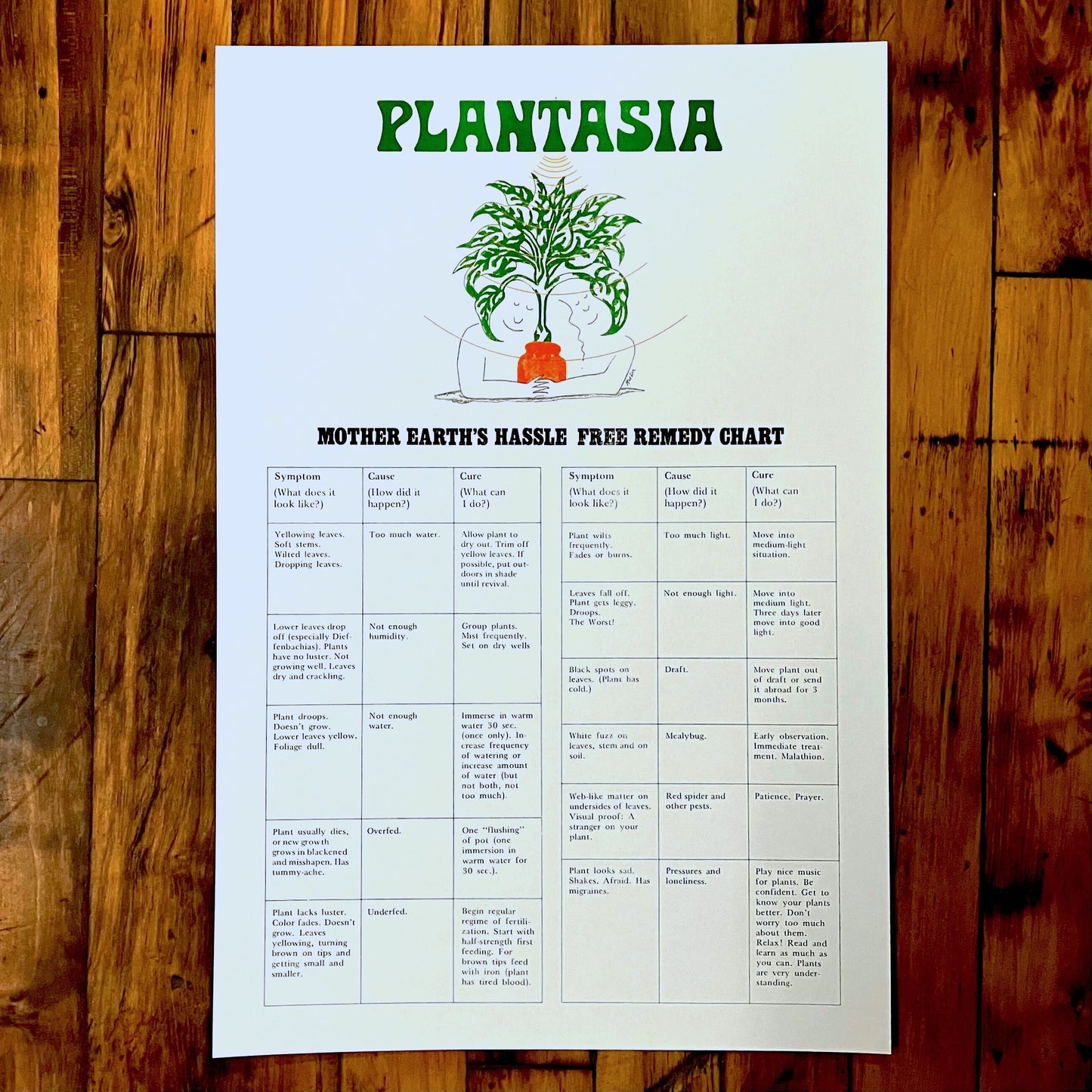 Plantasia "Plant Care" Print featuring a green plant illustration and a detailed plant remedy chart on white background