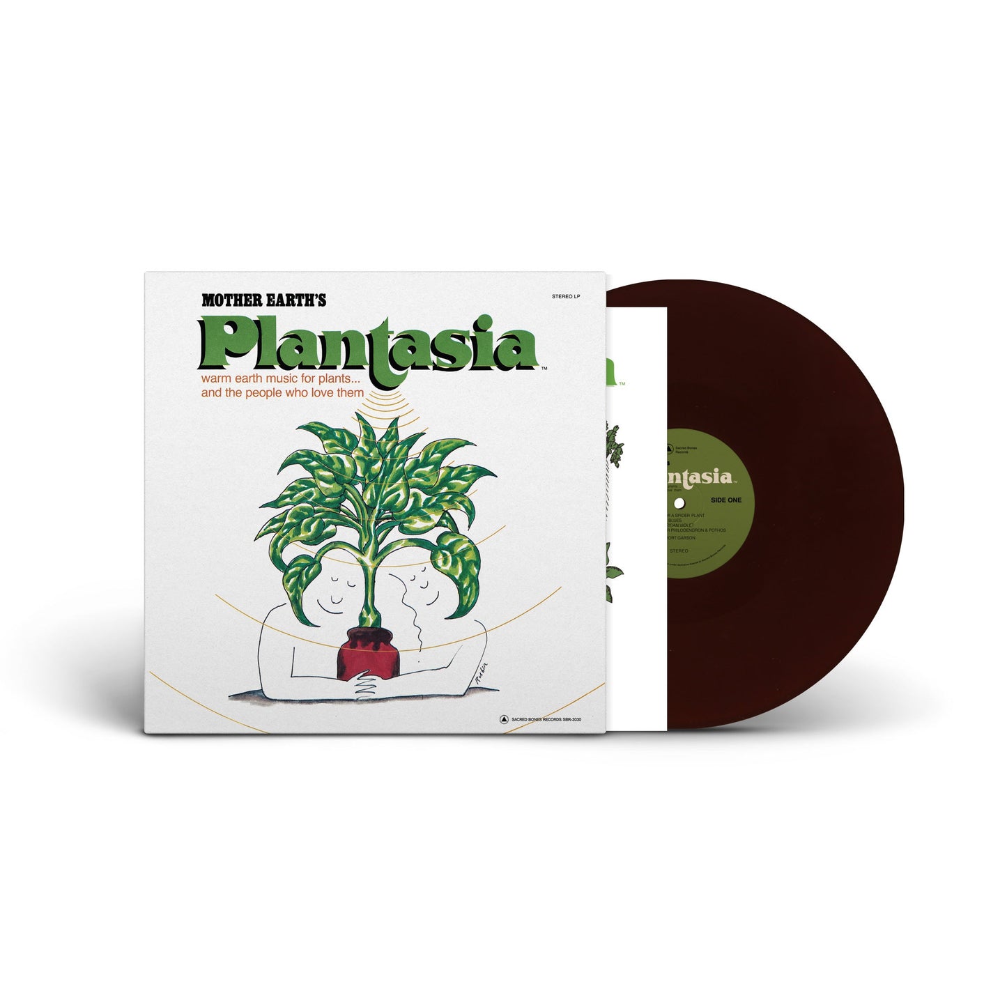 Vinyl record and cover of Mother Earthʼs Plantasia featuring green plant illustration and warm earth colors.